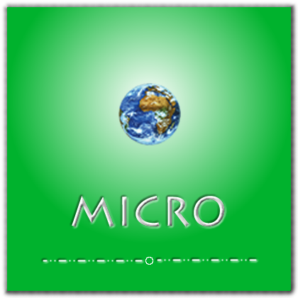 Micro Plan