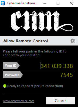 TeamViewer Remote Support